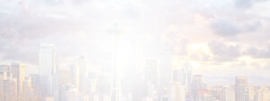 IT Services in Seattle, Portland and Boise